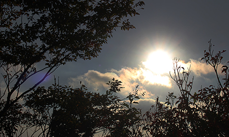 mameco creation site