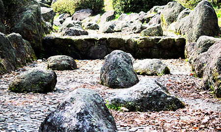 mameco creation site